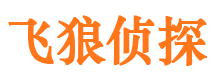 石家庄外遇调查取证